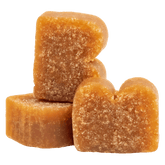 BIXBI - Pocket Trainers for Dogs - Salmon